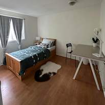 Lalaine's room
