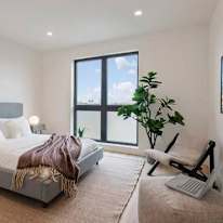 David's room
