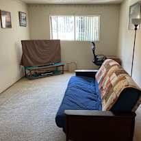 Antonia's room