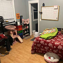 Victoria's room