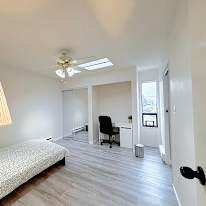 Shahram's room