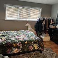 Morgan's room