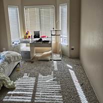 Dillon's room