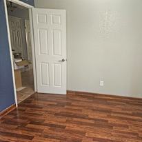Shelly's room
