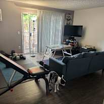 Greg's room