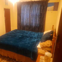 Tiger's room