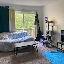 Leo's room