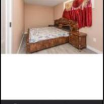 Bindi Tut's room