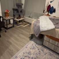 Jasmine Lee Junior's room