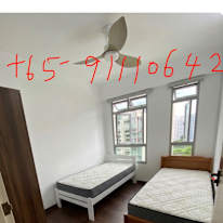 shirley's room