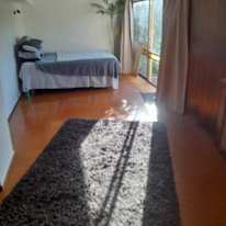 Damo's room