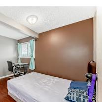 Todd's room