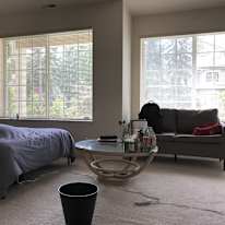 Suz's room