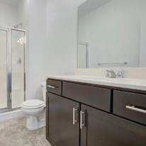 Spacious Room Available's room