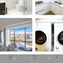 Lily bo's room