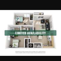 gray's room