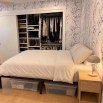 scott young's room