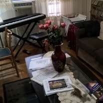 Lev Shneider's room
