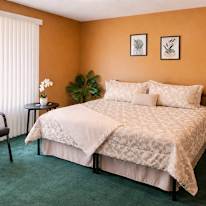 Servants First's room