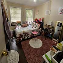 Alexander's room