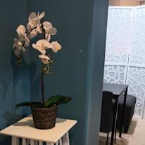 Wendy Wang's room