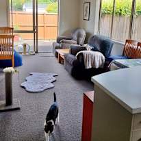 Janelle's room
