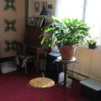 Martin's room