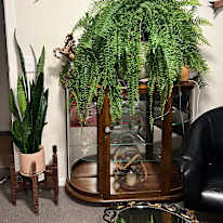 Bridgette Knox's room