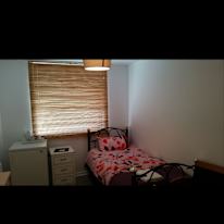 Nashaat's room
