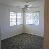 Amy's room