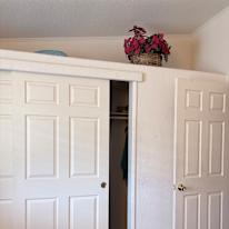 Zelyne's room