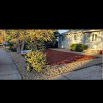Zendie's room