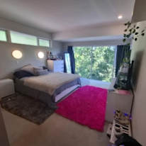 Damo's room