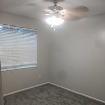 Timothy's room