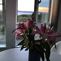 Gracjan's room