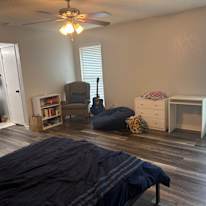 Cat's room