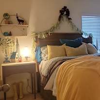 Berenice's room