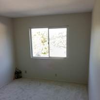 Michael Adams's room