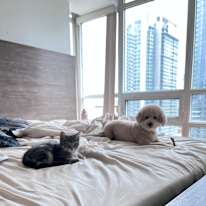 Marina Gerges's room