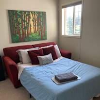 Lucie's room