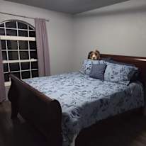 Athena's room