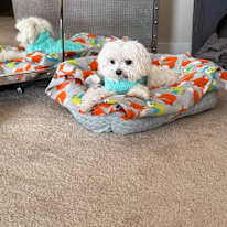 Mara's room