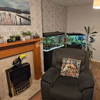 Mel's room