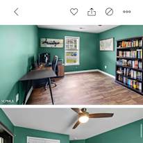 Rex's room
