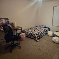 Cat's room