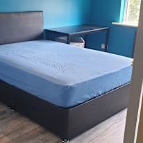 Alex's room