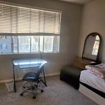 Lily's room