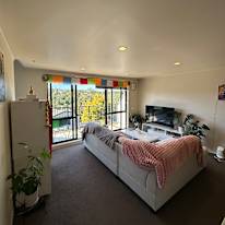 Anurag's room