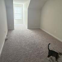 Daniel's room