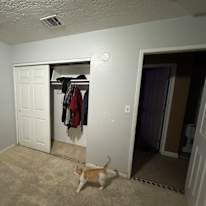 Andy's room